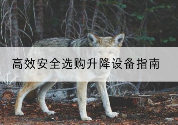 瑞昌升降货梯厂家推荐-*安全选购升降设备指南