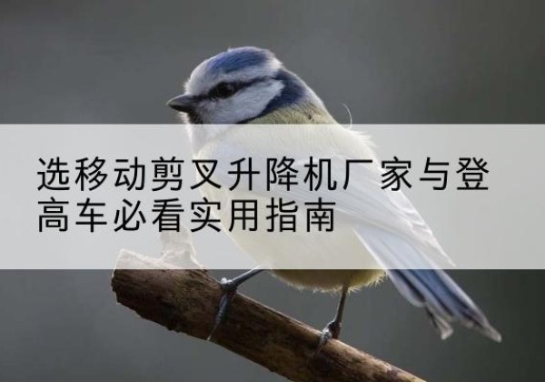 瑞昌电动升降机厂家-选移动剪叉升降机厂家与登高车必看实用指南