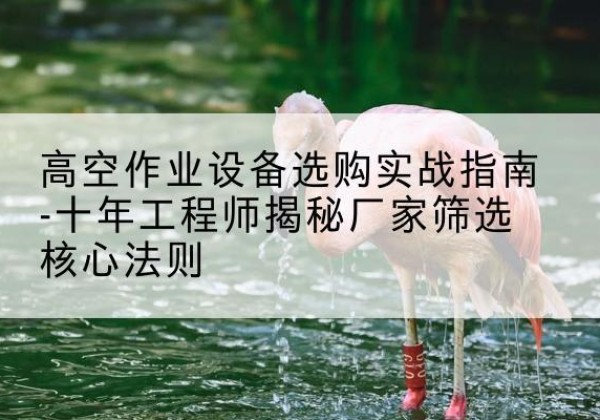 瑞昌剪叉式升降机厂家-高空作业设备选购实战指南-十年工程师揭秘厂家筛选核心法则